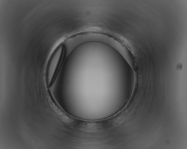 X0000089941326200707131445