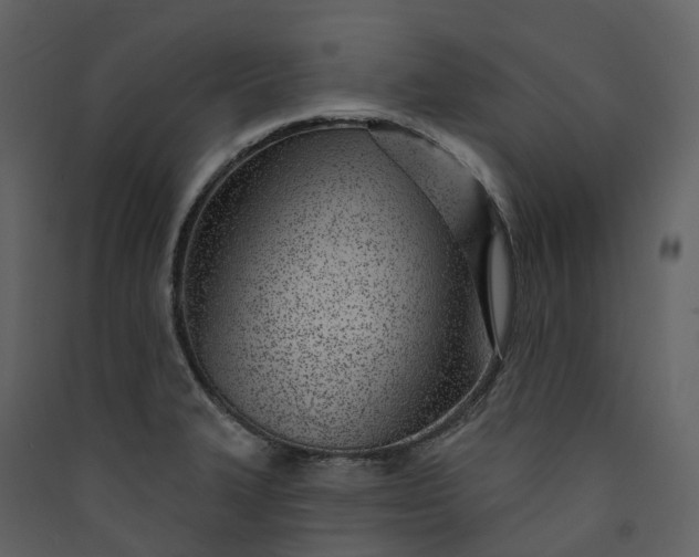 X0000089941327200707131445