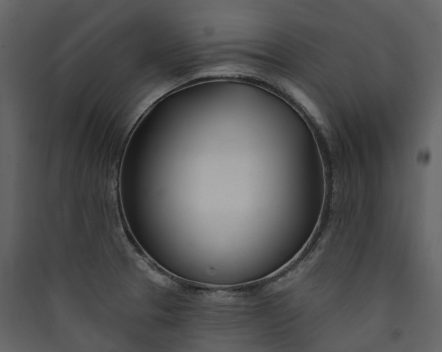 X0000089941329200707131445