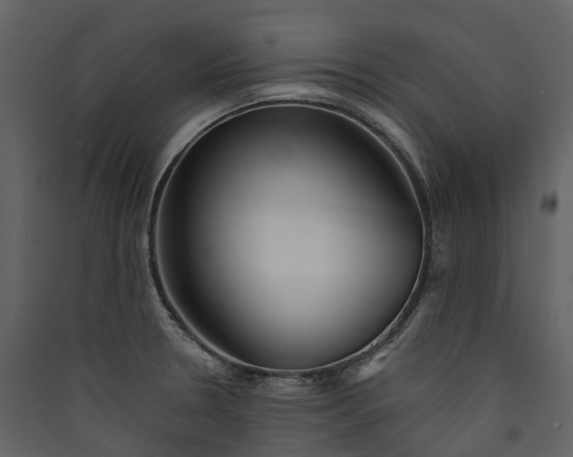 X0000089941330200707131445