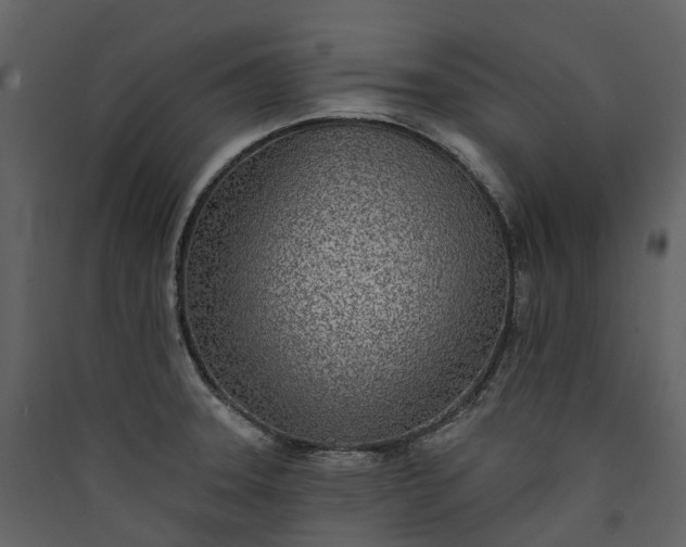 X0000089941331200707131445