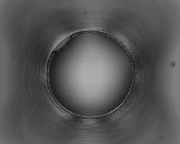 X0000089941332200707131445