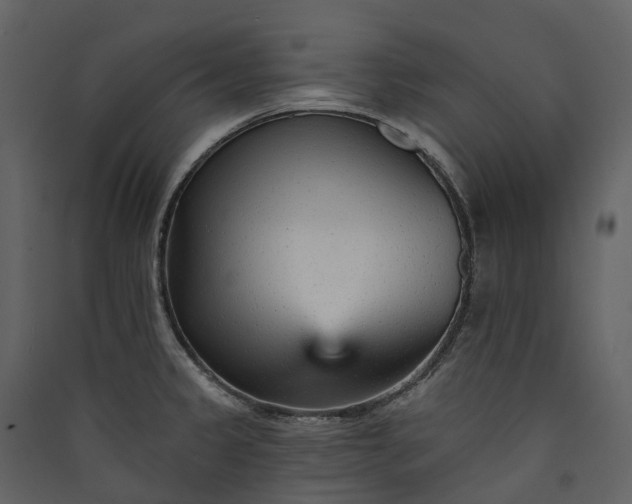 X0000089941333200707131445