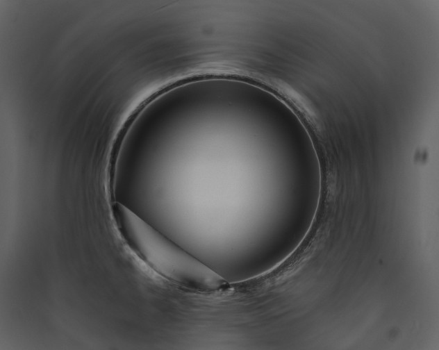 X0000089941334200707131445