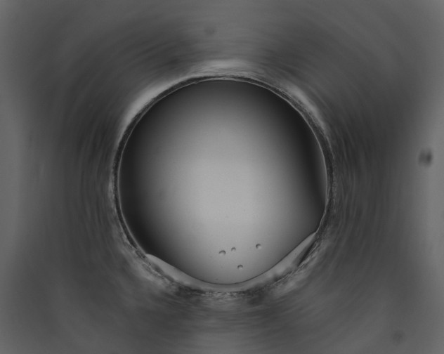 X0000089941336200707131445