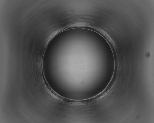 X0000089941337200707131445