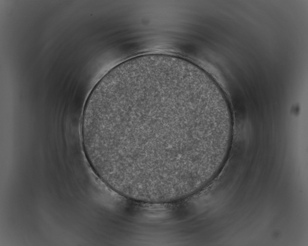 X0000089941338200707131445