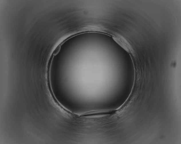 X0000089941339200707131445