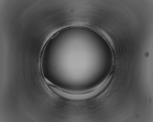 X0000089941340200707131445