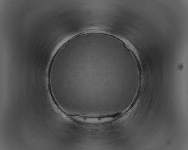 X0000089941341200707131445