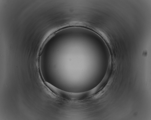 X0000089941342200707131445