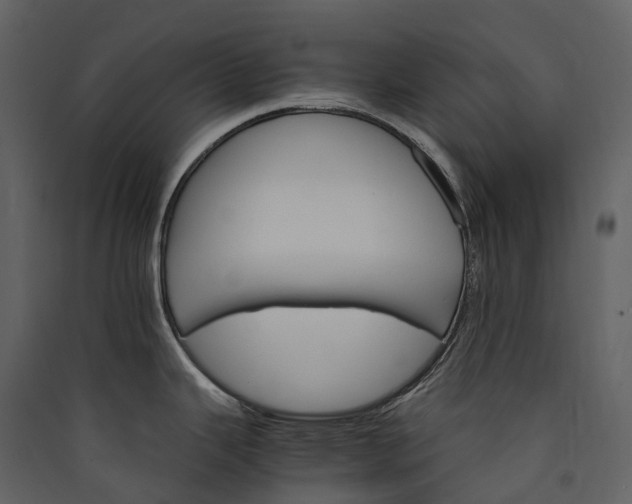 X0000089941343200707131445