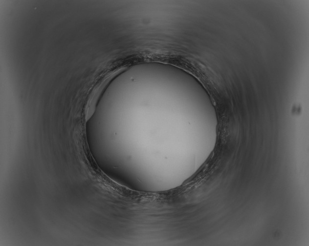 X0000089941345200707131445