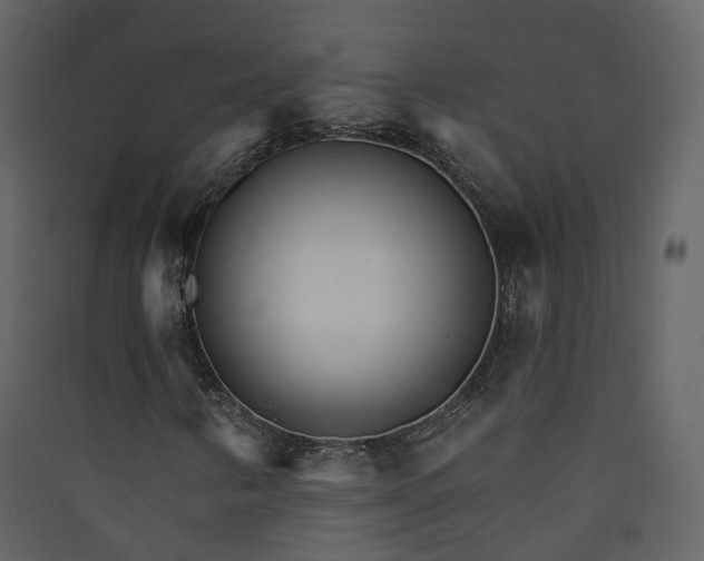 X0000089941346200707131445