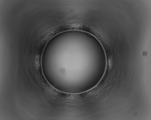 X0000089941347200707131444