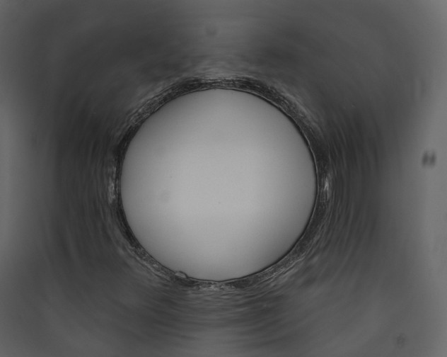 X0000089941348200707131444