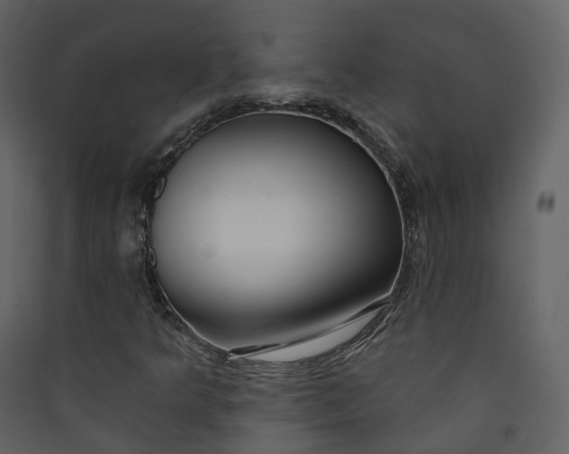 X0000089941349200707131444