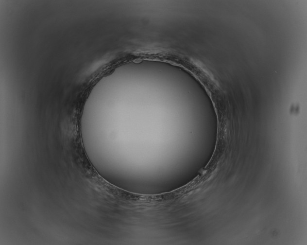 X0000089941350200707131444