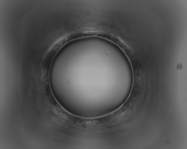 X0000089941351200707131444