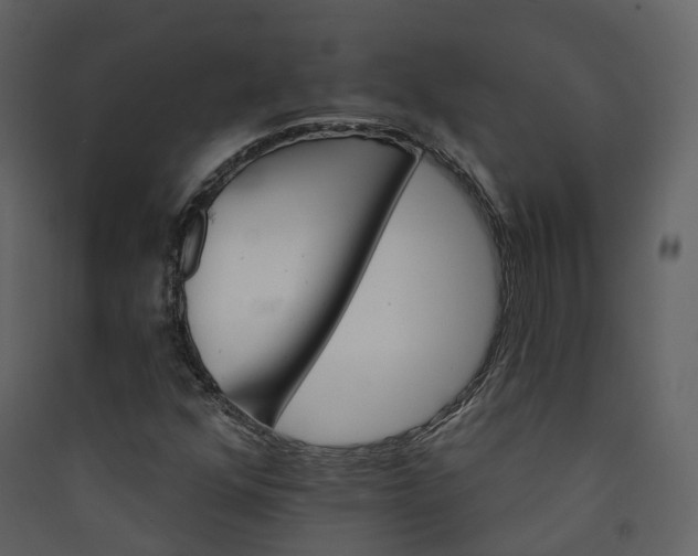 X0000089941352200707131444