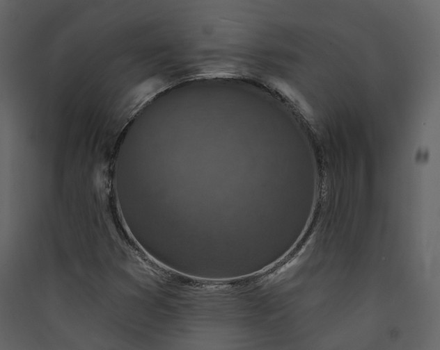 X0000089941353200707131444