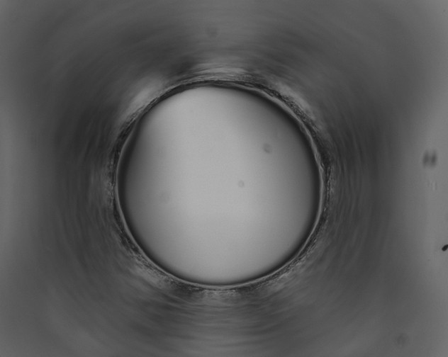 X0000089941354200707131444