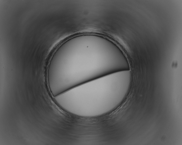 X0000089941356200707131444