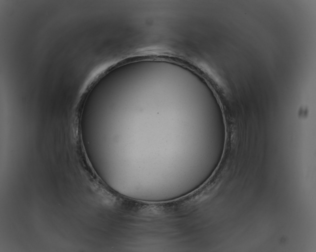 X0000089941358200707131444