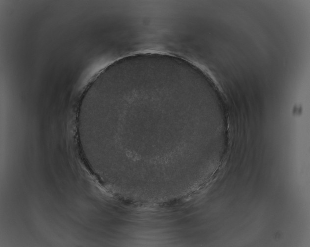 X0000089941359200707131444