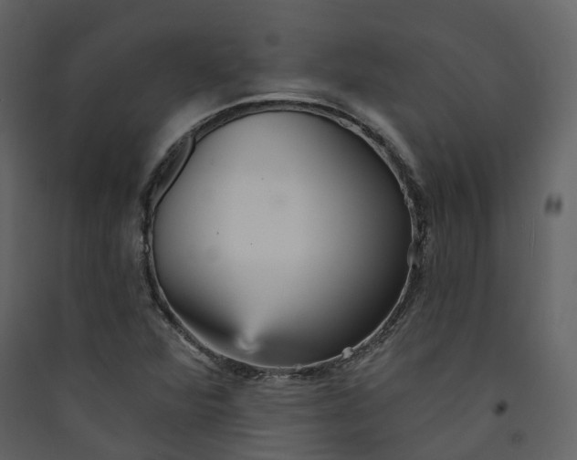 X0000089941360200707131444