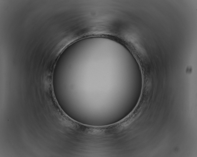 X0000089941361200707131444