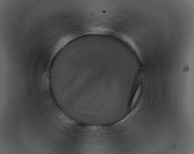 X0000089941362200707131444