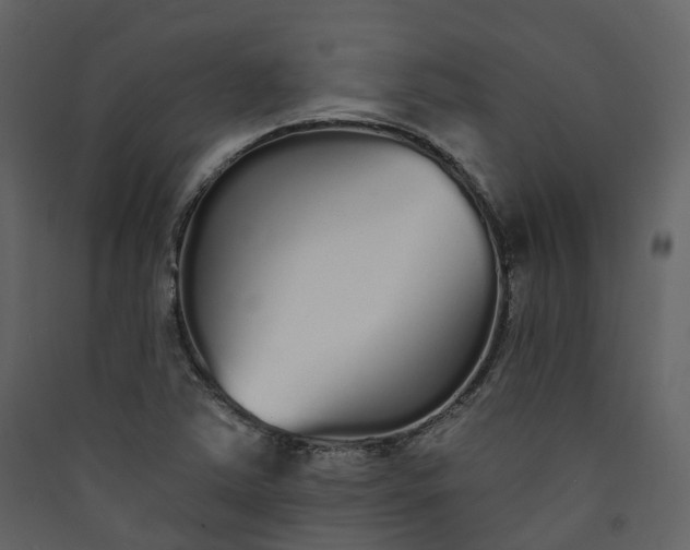 X0000089941363200707131444