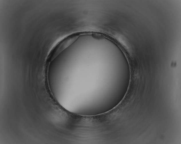 X0000089941364200707131444