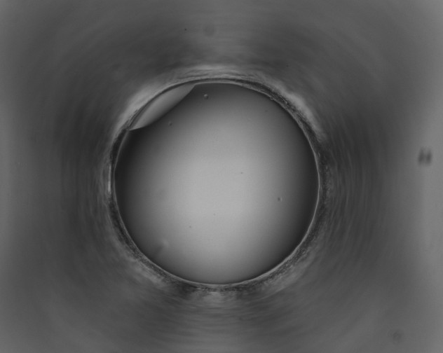 X0000089941365200707131444