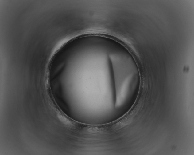 X0000089941366200707131444