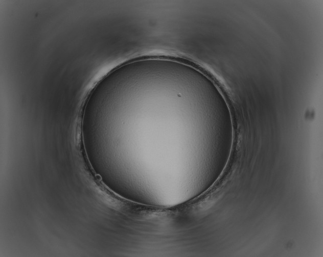 X0000089941367200707131444