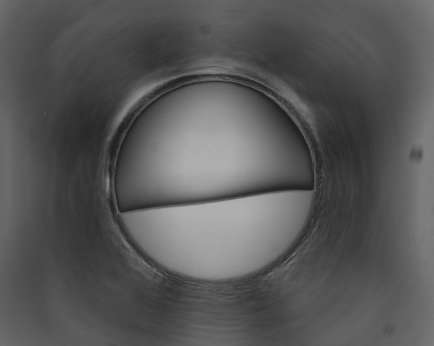 X0000089941368200707131444