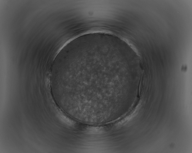 X0000089941369200707131444