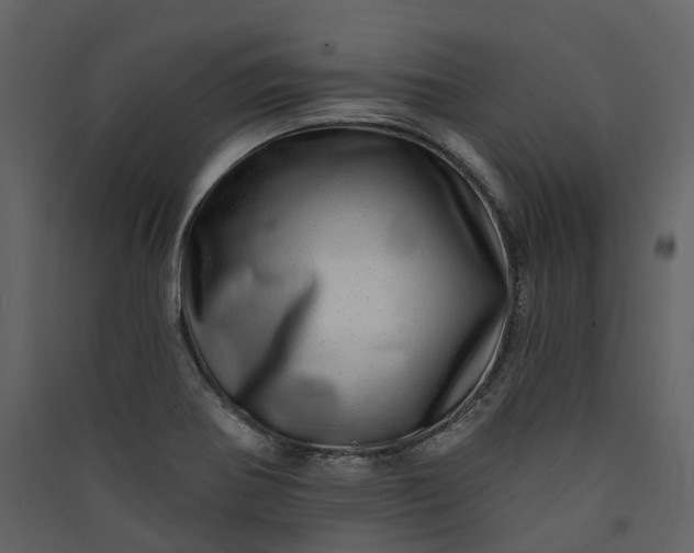 X0000089941370200707131444