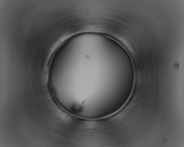 X0000089941371200707131444