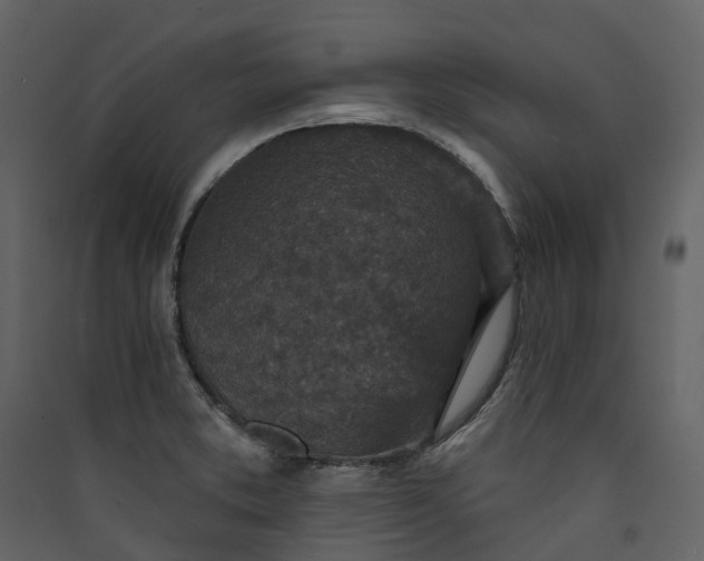 X0000089941373200707131444