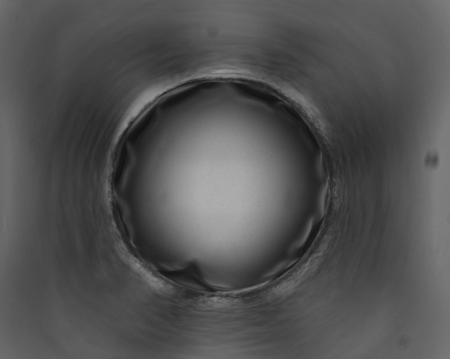 X0000089941374200707131444