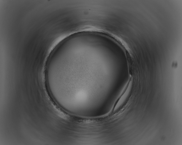 X0000089941375200707131444