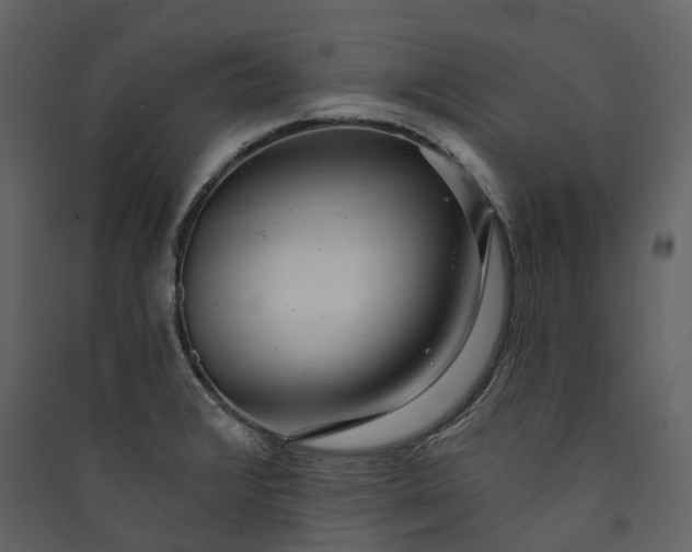 X0000089941376200707131444