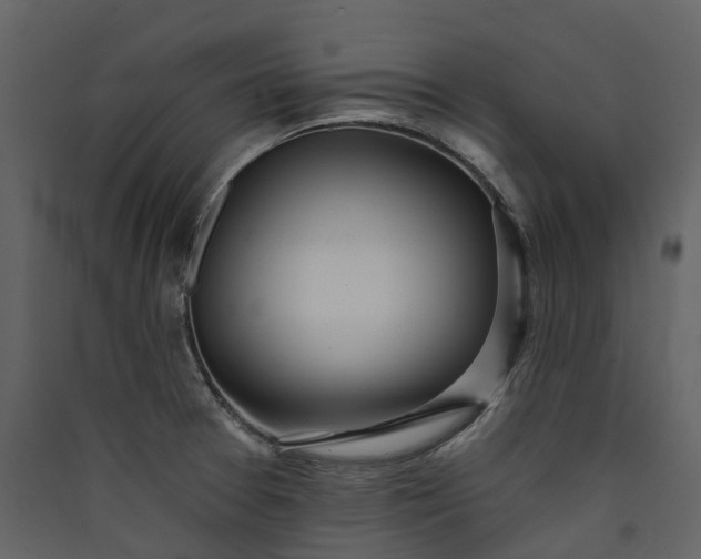 X0000089941377200707131444