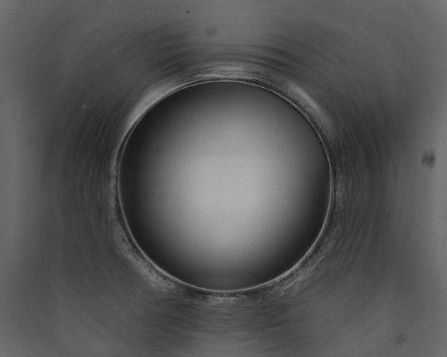 X0000089941378200707131444