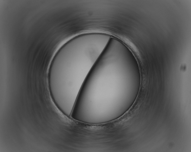 X0000089941380200707131444