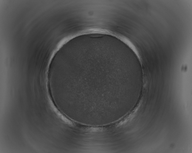 X0000089941381200707131444