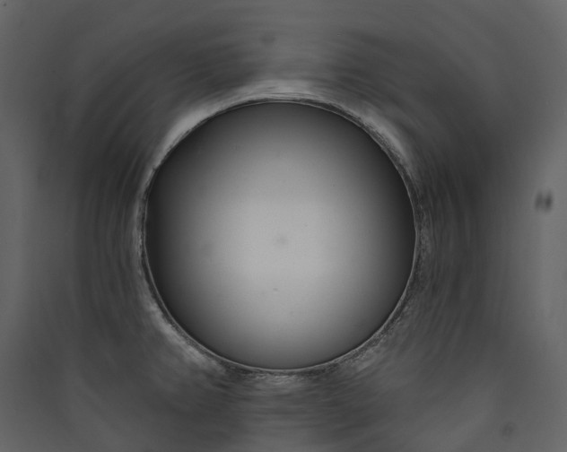 X0000089941382200707131444